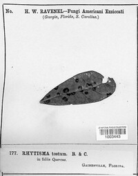Image Associated With the Occurence
